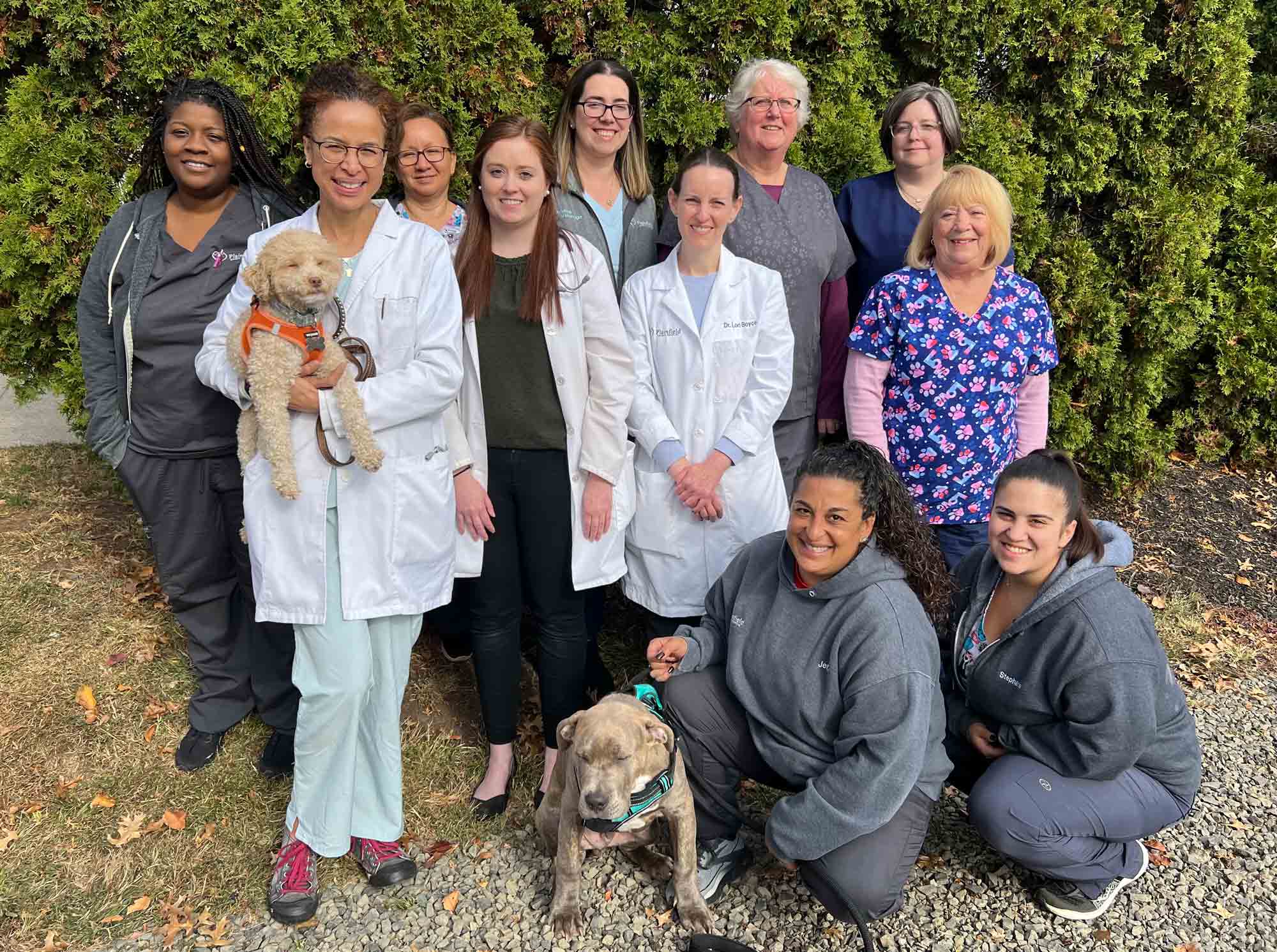 Our veterinary team